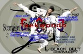 Taekwondo Basico