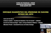 ENFOQUE DIAGNóSTICO DEL SíNDROME DE CUSHING: ESTADO DEL ARTE
