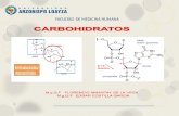 Carbohidratos - Bioquímica