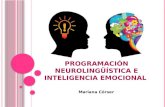 Programaci³n neuroling¼­stica e inteligencia emocional