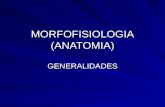 Morfofisiologia (ANATOMIA) CELULA Y TEJIDO