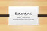 Esporotricosis dermatología