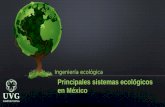 Ecosistemas en mexico