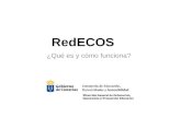 Presentación red ecos  IES Lomo Apolinario