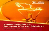 Fomentando la Innovación en México