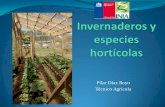 Invernaderos y especies hortícolas