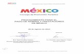 Procedimiento para el Pago de Nómina y Prestaciones en México