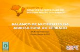 Balanço de nutrientes na agricultura do cerrado, Eros Francisco