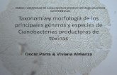 Taxonomía y morfología de los principales géneros y especies de ...