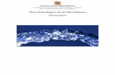 Normativa Plan Hidrológico de las Illes Balears
