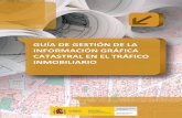 Guía de gestión de la información gráfica catastral en el tráfico ...