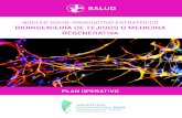 plan operativo sobre bioingeniería de tejidos o medicina regenerativa