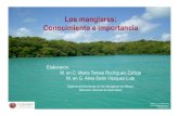 Los manglares: Conocimiento e importancia