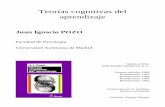 Teorías cognitivas del aprendizaje.pdf