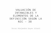valuación de intangibles y elementos de la definición según la nic 38
