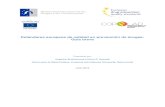Estándares europeos de calidad en prevención de drogas: Guía breve