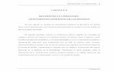 CAPITULO II REVISIÓN DE LA LITERATURA: ANTECEDENTES ...