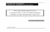 The BLINK REFLEX: Comparative Electrophysiologic Study in the...