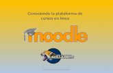 1. Introducción Moodle UPR Carolina