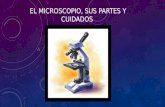 El microscopio y sus partes
