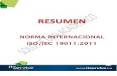 Resumen Norma 19011