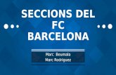 Seccions del FC Barcelona