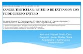 Cancer testicular-Vision general  - radiologia