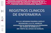 Registros clinicos de enfermeria