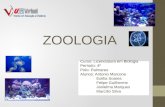 Web Zoologia
