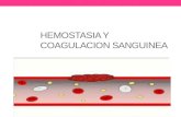 Hemofilia, trombocitopenia y pruebas de coagulacion sanguinea