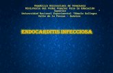 Endocarditis Infecciosa.  Med. Interna Farrera