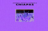 05.- Chiapas