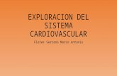 Exploracion del sistema cardiovascular