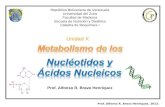 Metabolismo de nucleotidos 2011