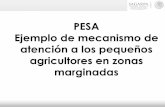 PESA: ejemplo de mecanismo de atención a los pequeños agricultores en zonas marginadas