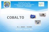 Intoxicacion por Cobalto