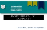Inmunidad   y   tumores