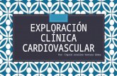 Exploración clínica cardiovascular