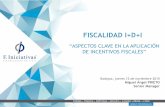 Incentivos fiscales para la financiación de la I+D+i. Miguel Ángel Prieto. F. Iniciativas