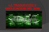 Moreno Fuentes Andrea B Genetica Traduccion Y  ReplicacióN Del Adn 2 Parcial