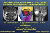 Patología de la orbita y el globo ocular diagnóstico imagenológico