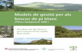 Models de gestió per als boscos de pi blanc
