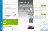 Visitar Marsella, su estadio de fútbol y Francia en tren