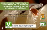 Consecuencias productivas y economicas de la presencia del acaro Varroa en las explotaciones apicolas