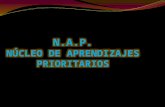 Los Nap- Documento de apoyo para el docente y su planificación.