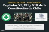 Historia de Chile 4° medio - Capítulos XI, XII y XIII de la Constitución de Chile