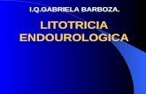 Litotricia endourologica I.Q. GABRIELA BARBOZA