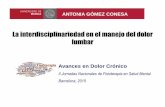 La interdisciplinariedad en el manejo del dolor lumbar. Antonia Gómez Conesa