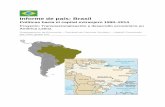 Informe de país: Brasil
