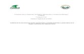Analisis de Servicios Agropecuarios y Forestal VF ES